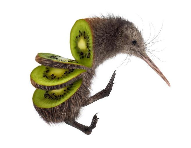 5JcWVev.jpg