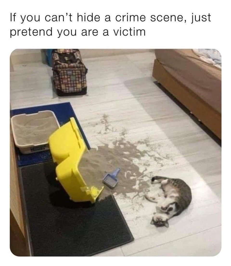 5yNzWpp.jpeg