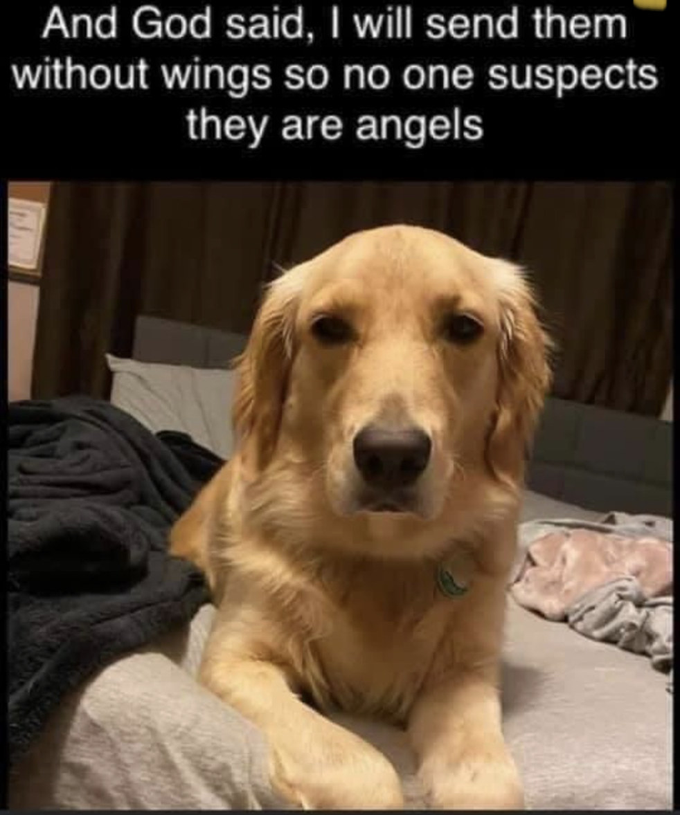 608841a020992.jpeg