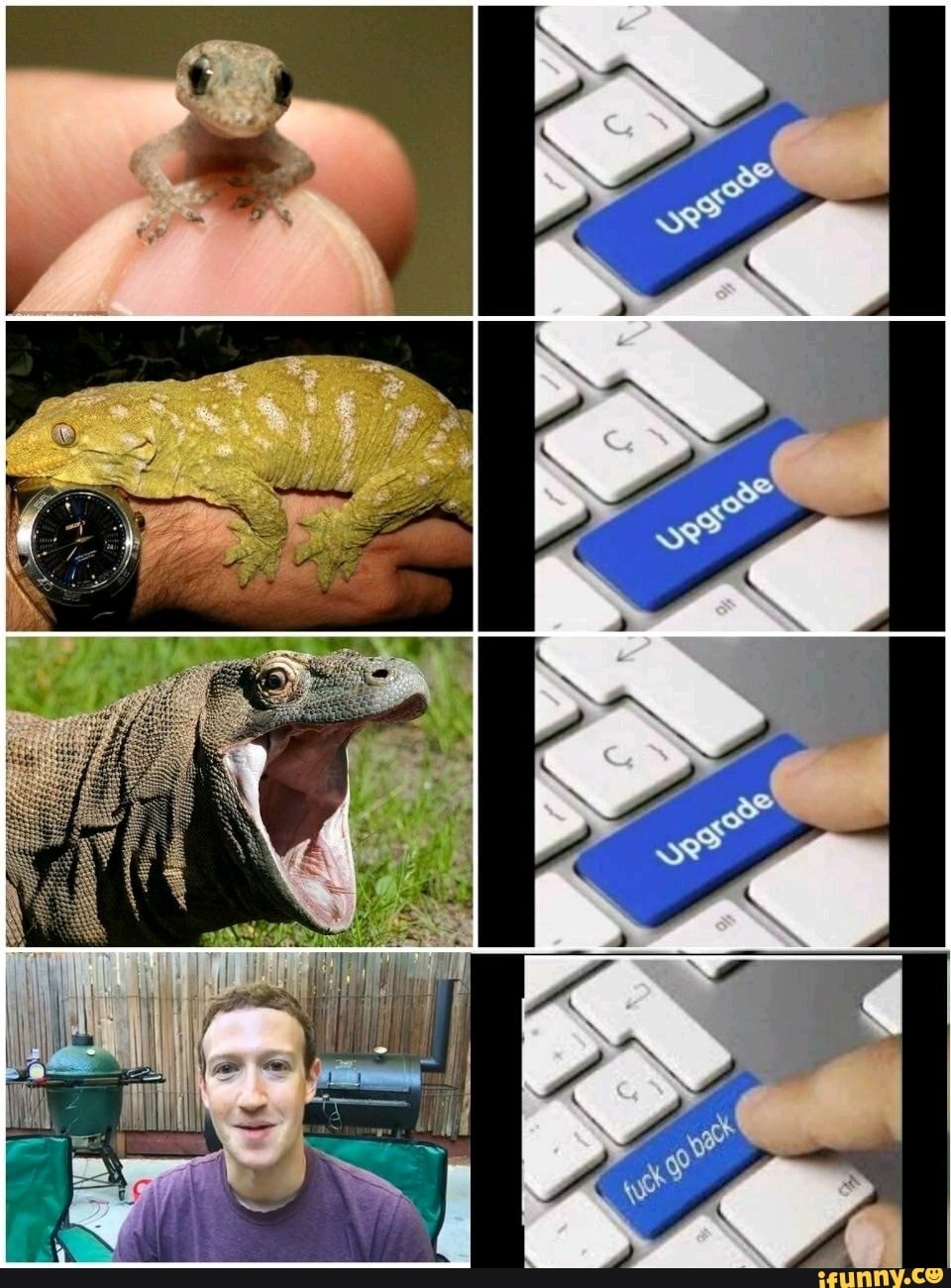 6315C538-11E4-4228-A11E-B71EA66FC1D1.jpeg