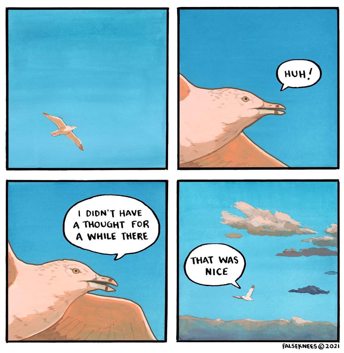 6rqnl7emo0q71.jpeg