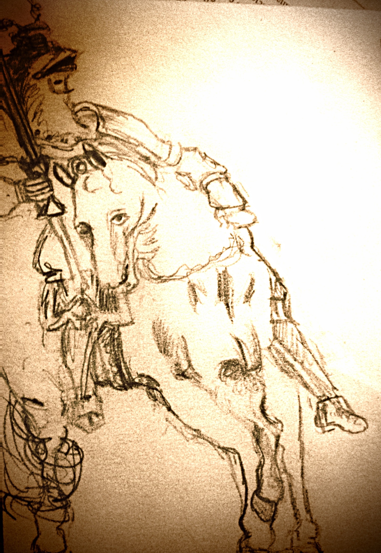 7F460748-CFF2-42BB-BB04-6321D02BF2B5.jpeg