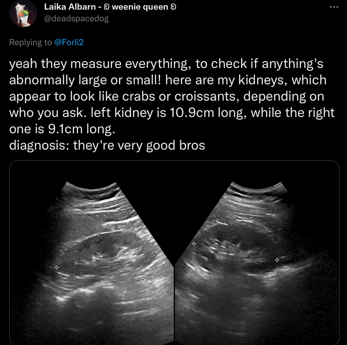 822B1E7E-49B8-44C0-B55E-F81FB4632079.jpeg