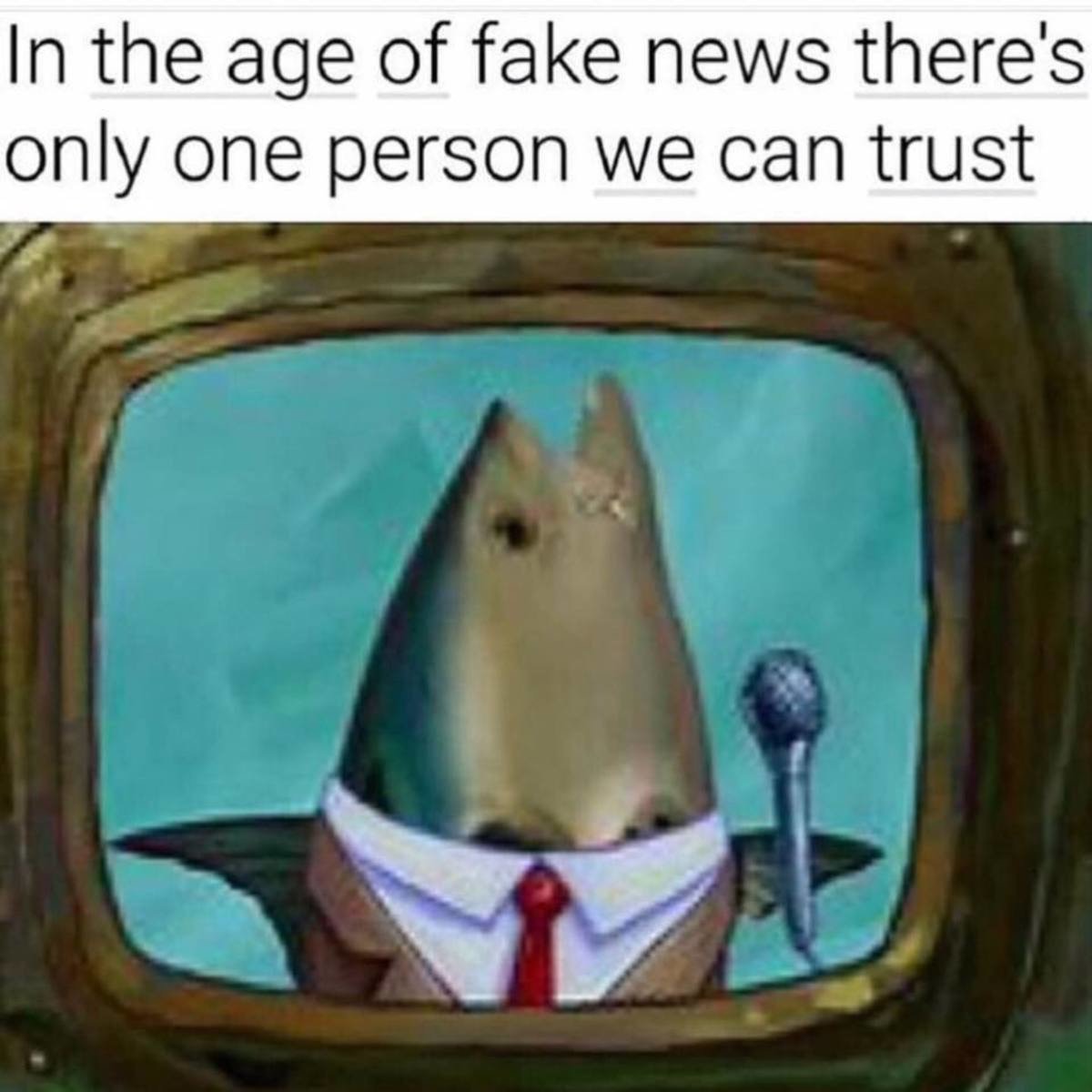 8645D76B-5BB0-45E5-864B-B52E2769FE43.jpeg