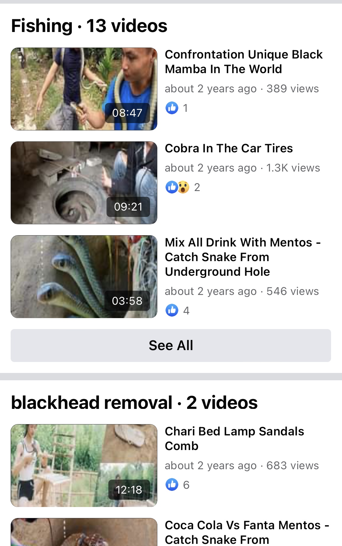 876C726D-575D-41C5-A37E-862FA06EC3D5.jpeg