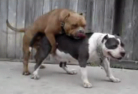 8bc5003879fb01ae9c7ee4e955ce85e3922c237a.gif
