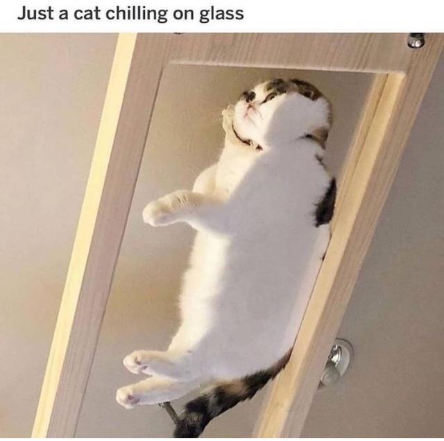 8F6NRKA.jpeg