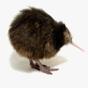 91D2A4F8-DD32-4096-A04E-A8E8FFA269E9.png