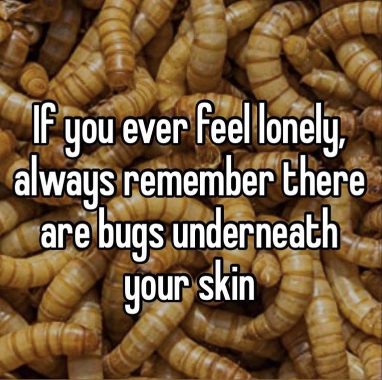 9539A446-D05D-4E2F-A5C7-8BAA28E94FCD.jpeg