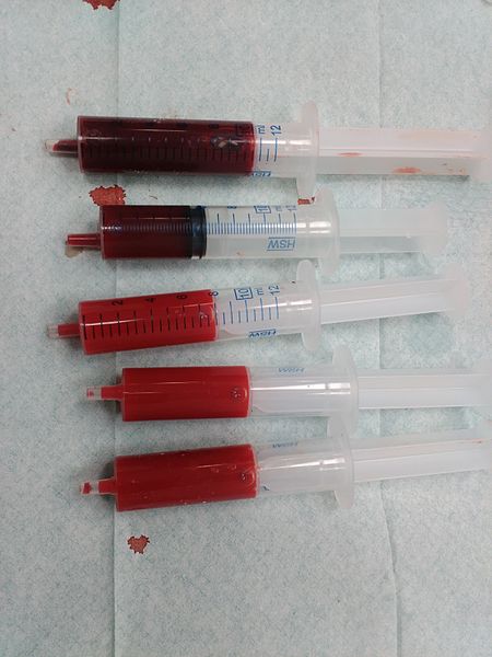 9953B672-4FDA-4D0E-AB66-89F62A8028E1.jpeg
