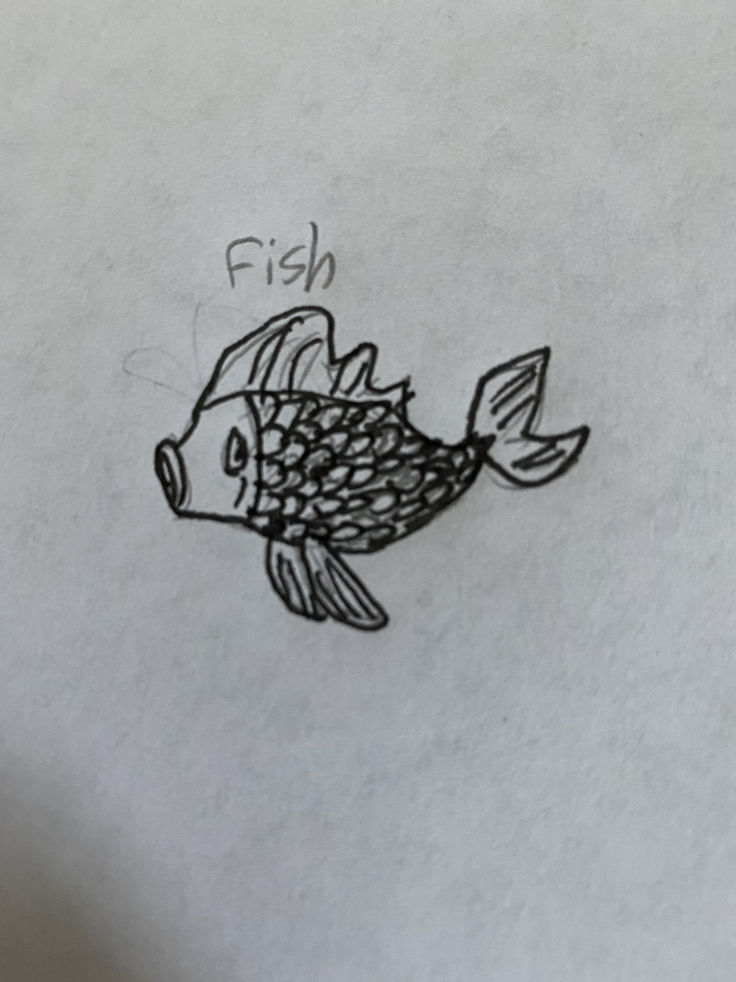 A054E440-8EFE-47BA-A1E6-E58D1BE686DA.jpeg