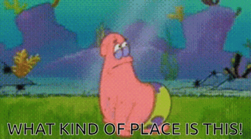 A4EC33E5-6A9D-416C-933E-ADE2B628D416.gif