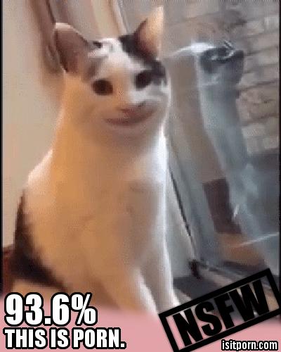 a6ceafd0eeef4353876296c6dfd95dbc.jpeg
