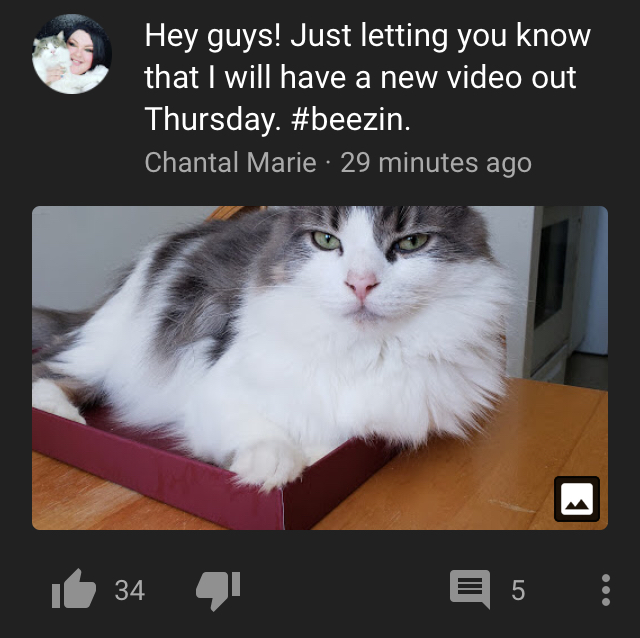 AB124998-B8C4-4F6D-8E91-C85083F4A629.jpeg