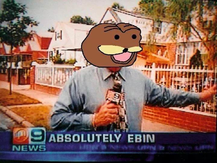 absolutely ebin.webp