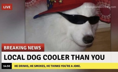 af33.png