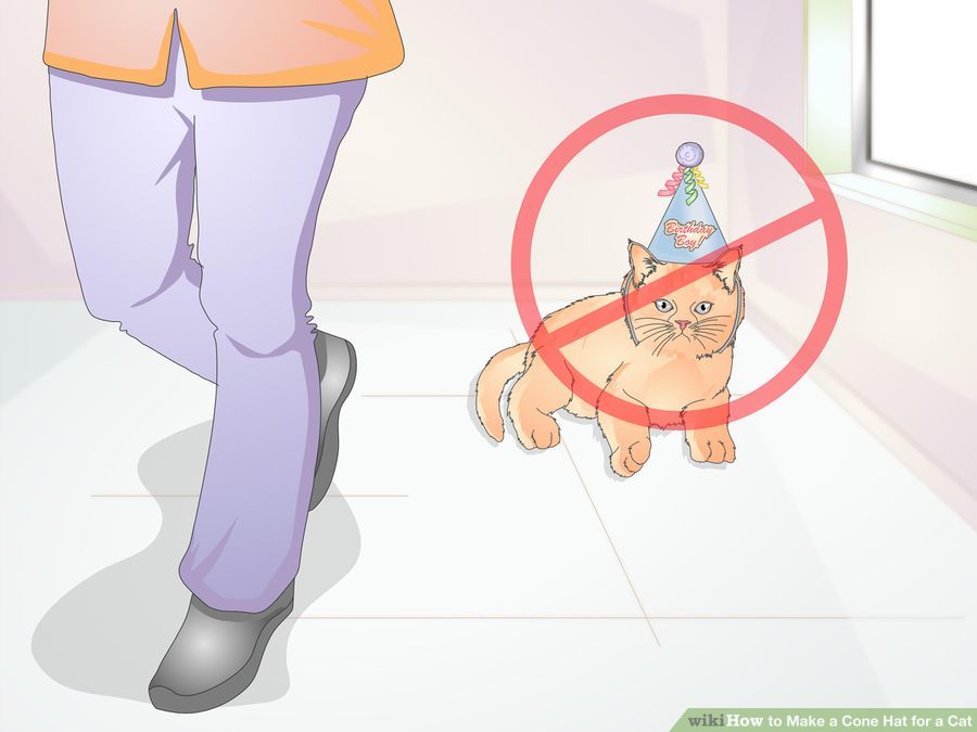 aid2505711-900px-Make-a-Cone-Hat-for-a-Cat-Step-11-Version-2.jpg