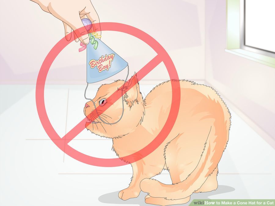 aid2505711-900px-Make-a-Cone-Hat-for-a-Cat-Step-12-Version-2.jpg