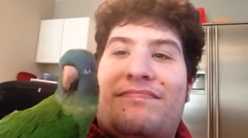 alan2.png