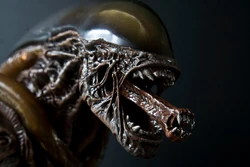 Alien_pose_12.JPG.webp