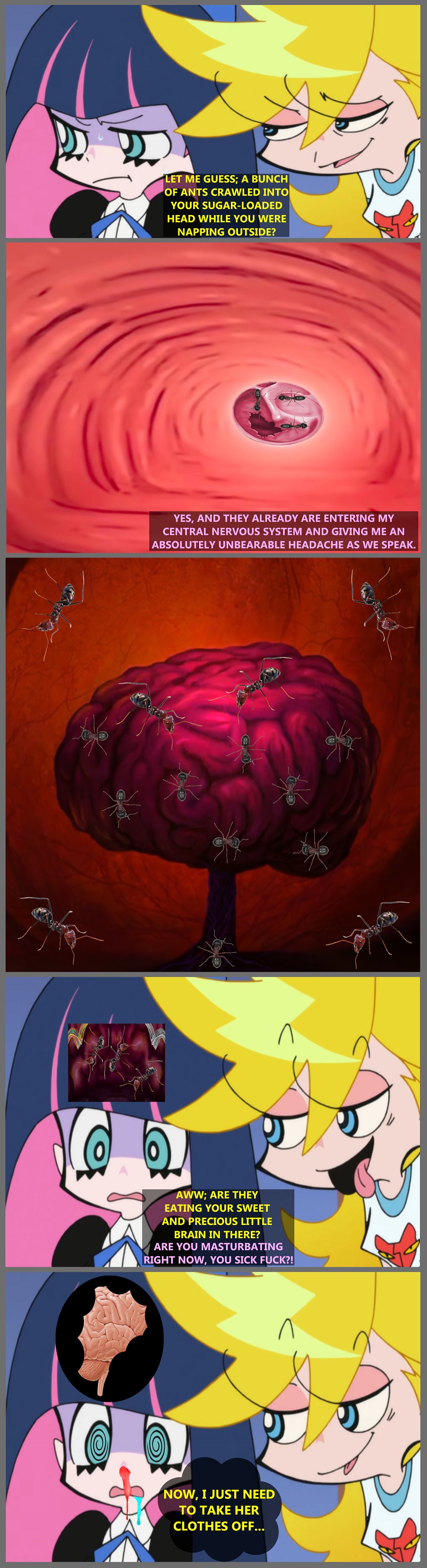 ants.jpg