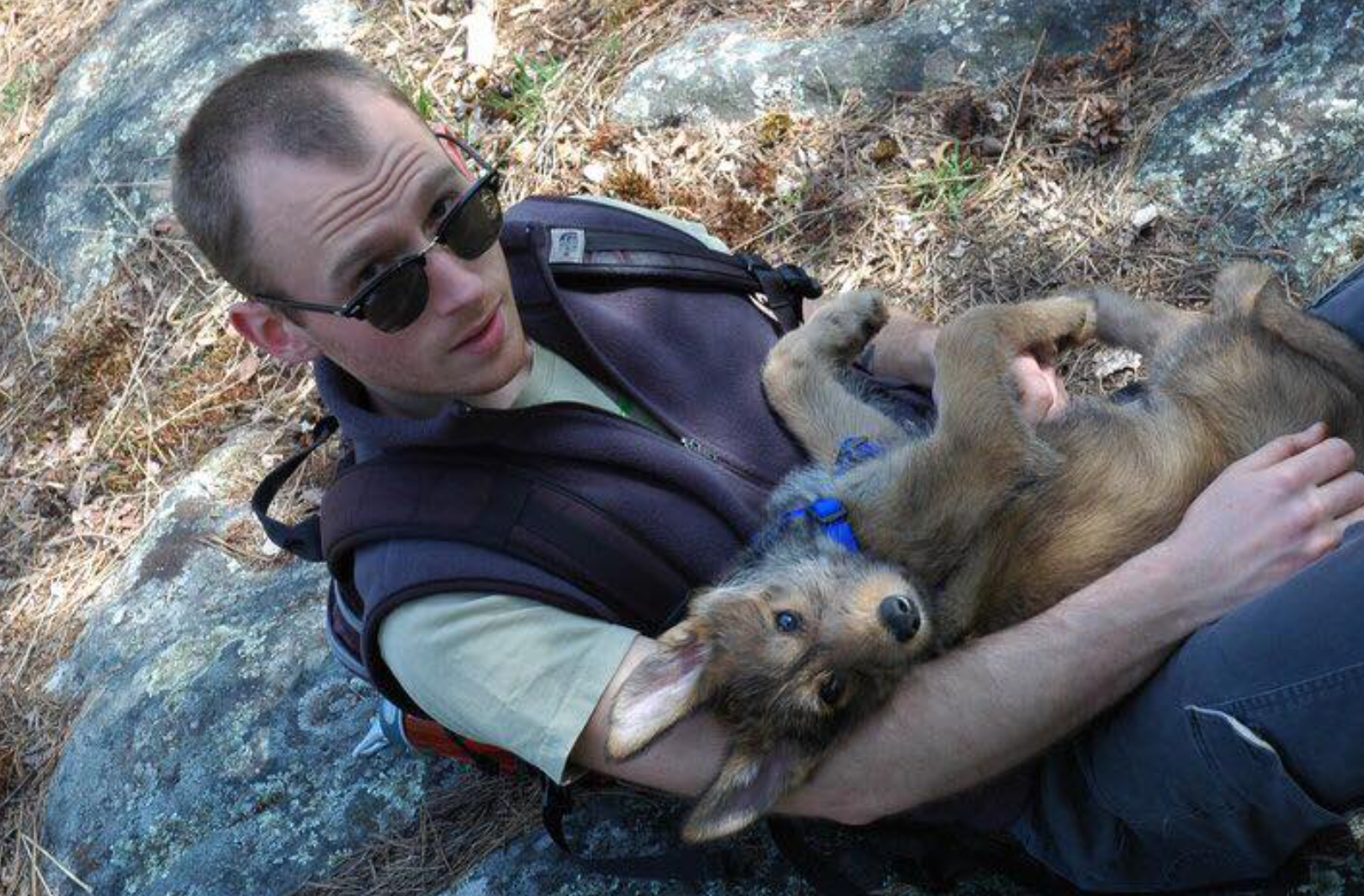 anus with dog .png