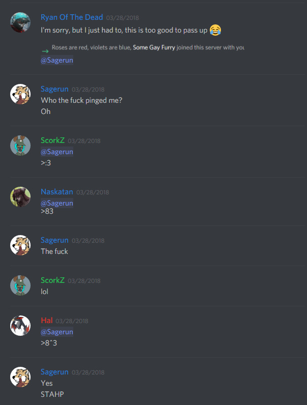 asdfhgjs.jpg
