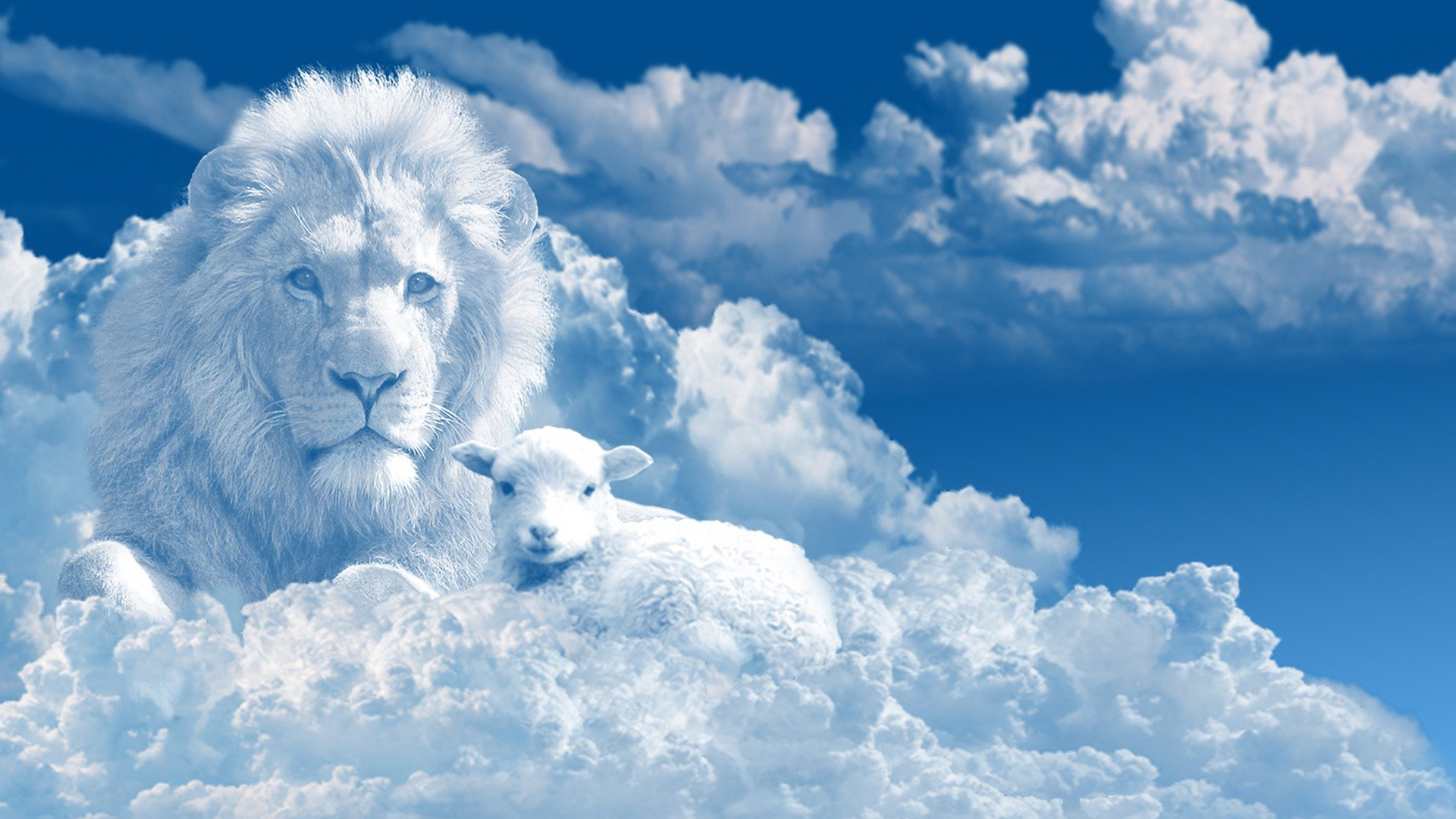 aslan.jpeg