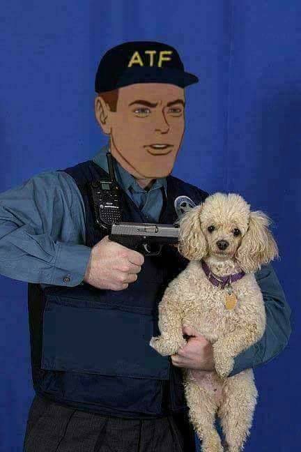 ATF.jpeg