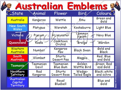 aussie.png