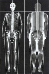 Average Skeleton.png