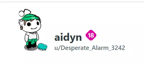 ayden reddit.webp