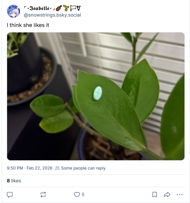 b05604254e7.png