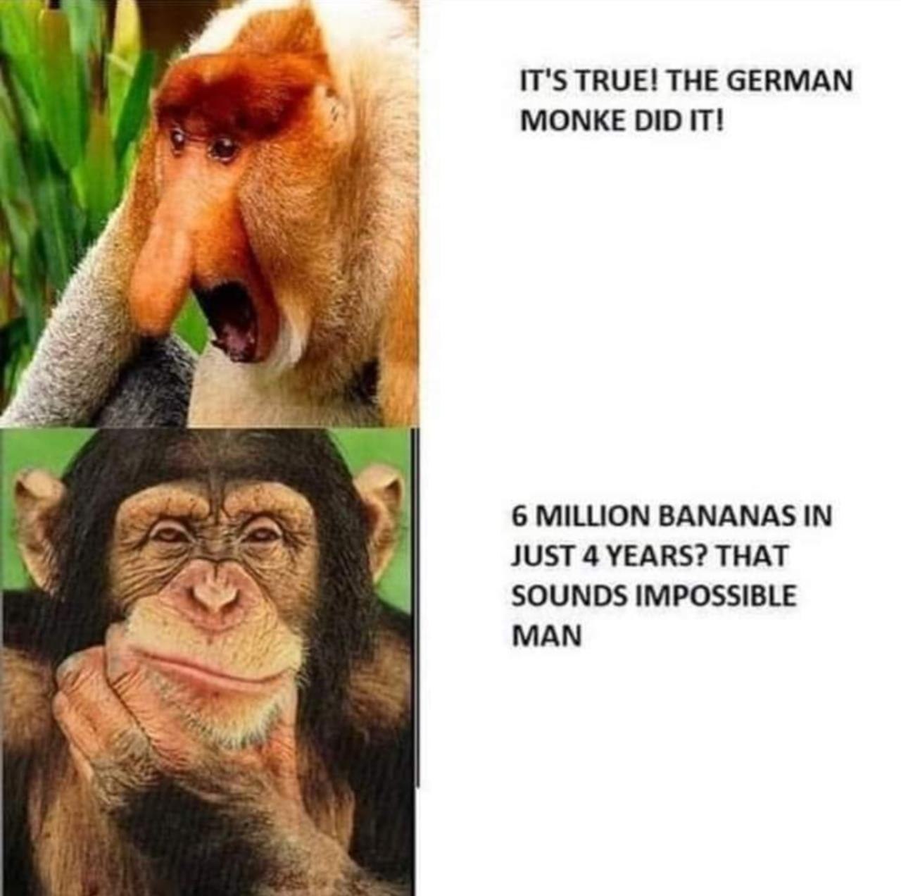 B25A2979-B7FE-4AA6-B937-C5DC2EAC8F36.jpeg