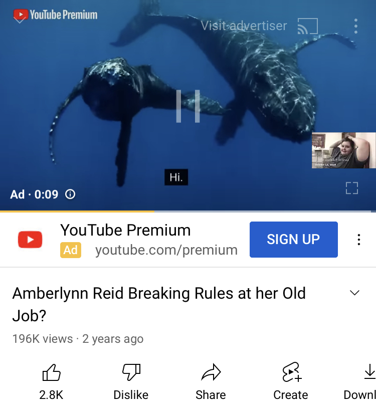 B61339F4-3D11-4170-B7F7-3FF4DE11B953.jpeg