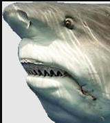 b9d33dfdcd6550e3c9c004b26e4e432e.png