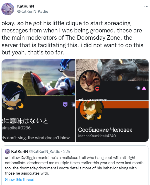 Backhandedly accusing members of being alt right white nationalists.png