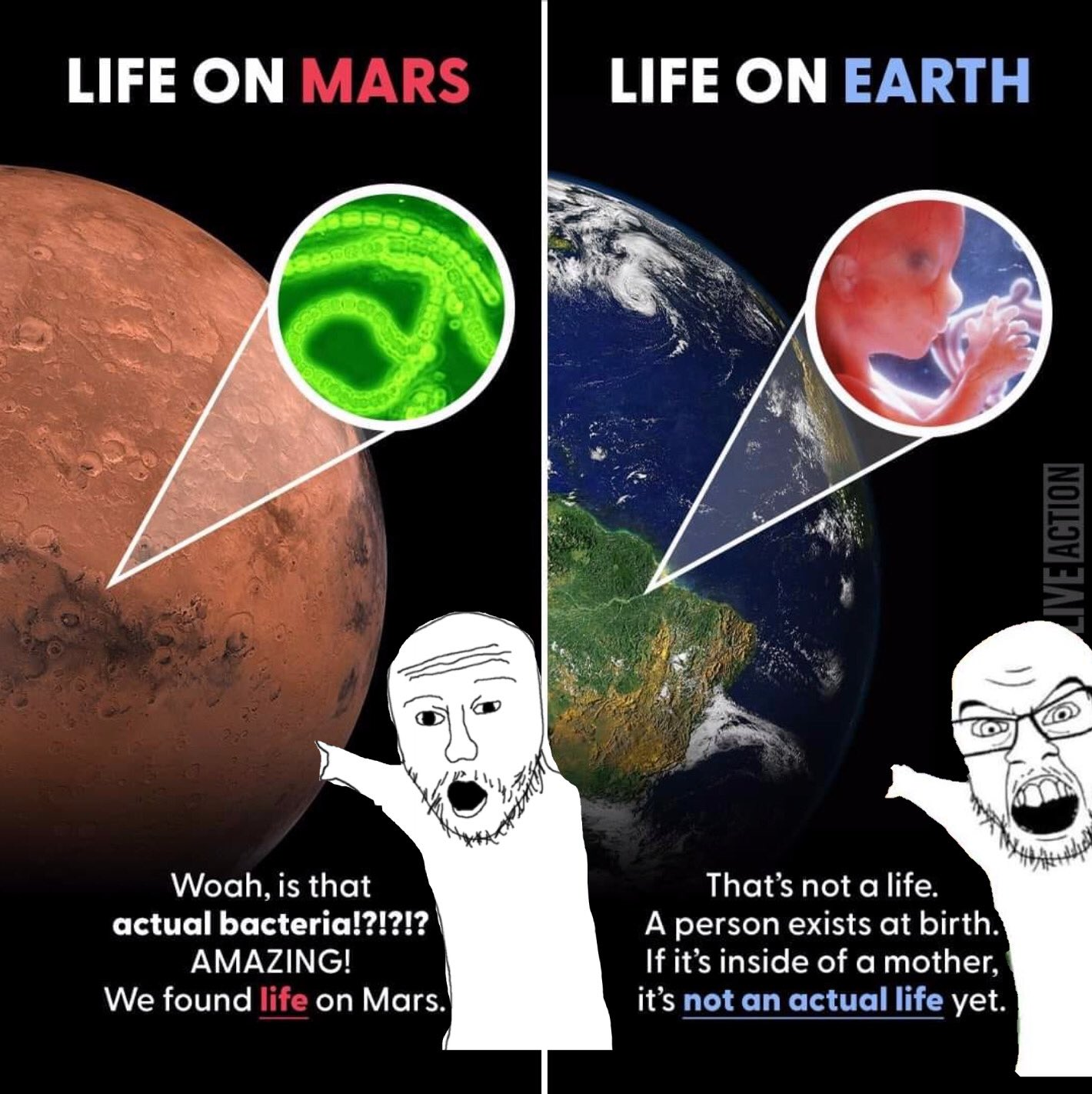 bacteria.png