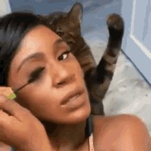 based cat.gif