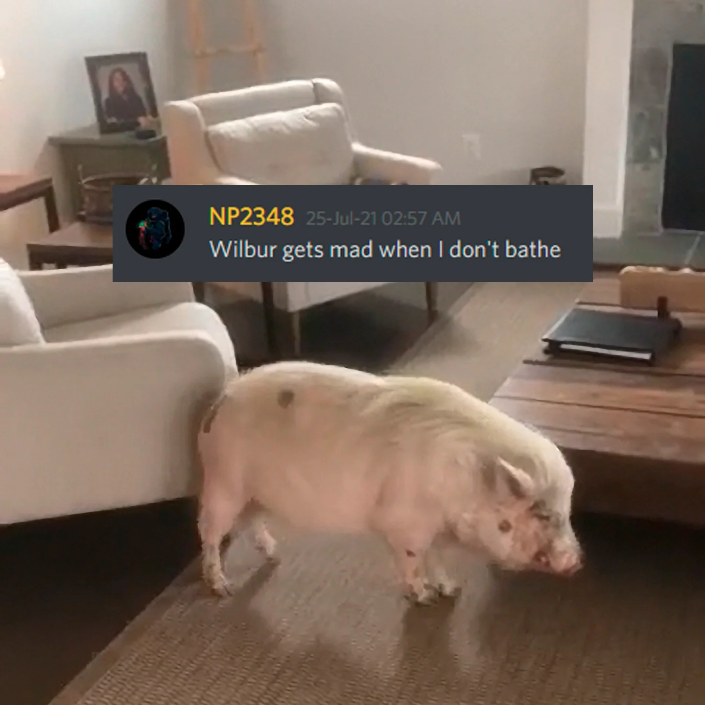 based.png