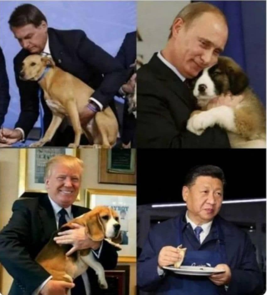 based-xi.jpg