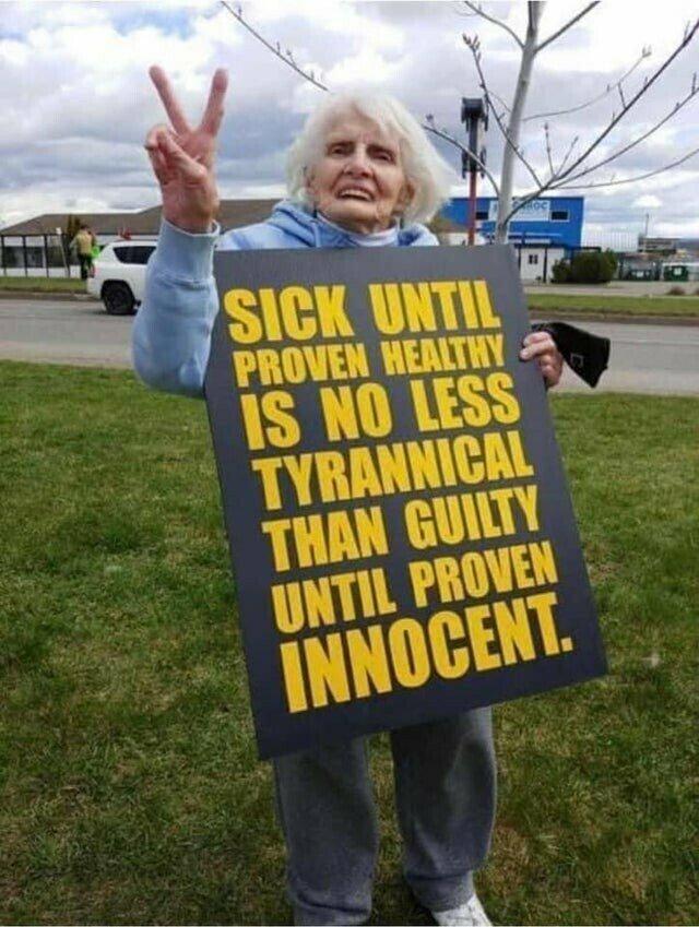 basedGranny.jpeg