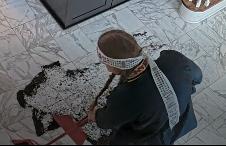 bashir sweeping.png
