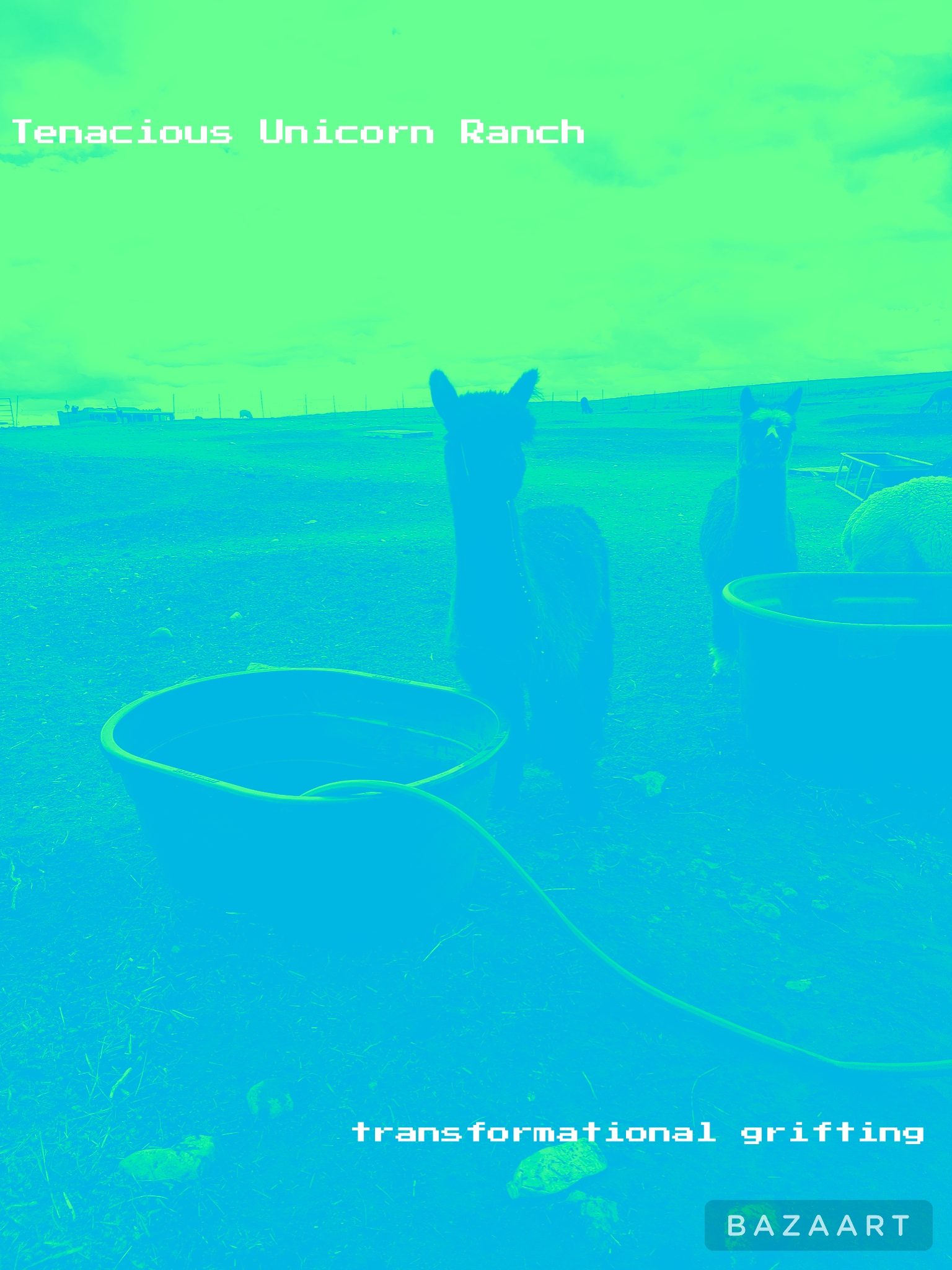 Bazaart_20220808_070930.jpeg