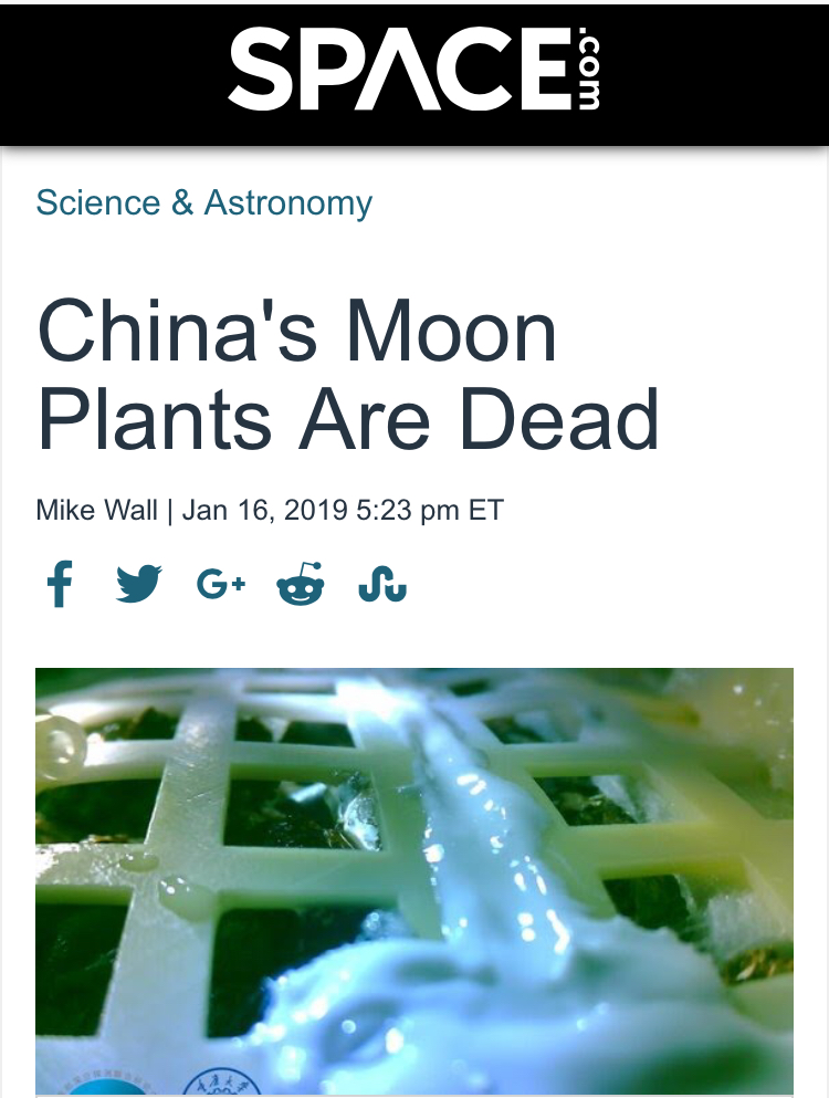 BD90843B-6EC4-4D0D-87A2-C12E0B5599AD.jpeg