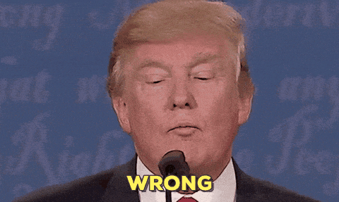 BEA6B0D9-0F5C-4D10-B950-9BB91A145D4E.gif
