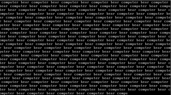bear computer.png