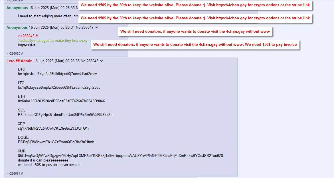 begging1.webp