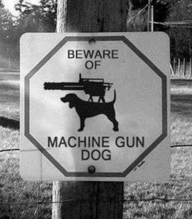 beware machine gun dog.jpeg
