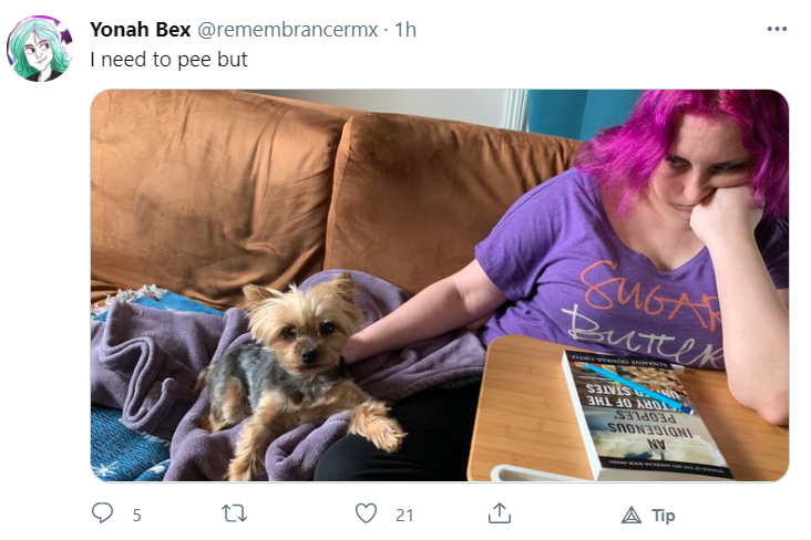 bex_45.png